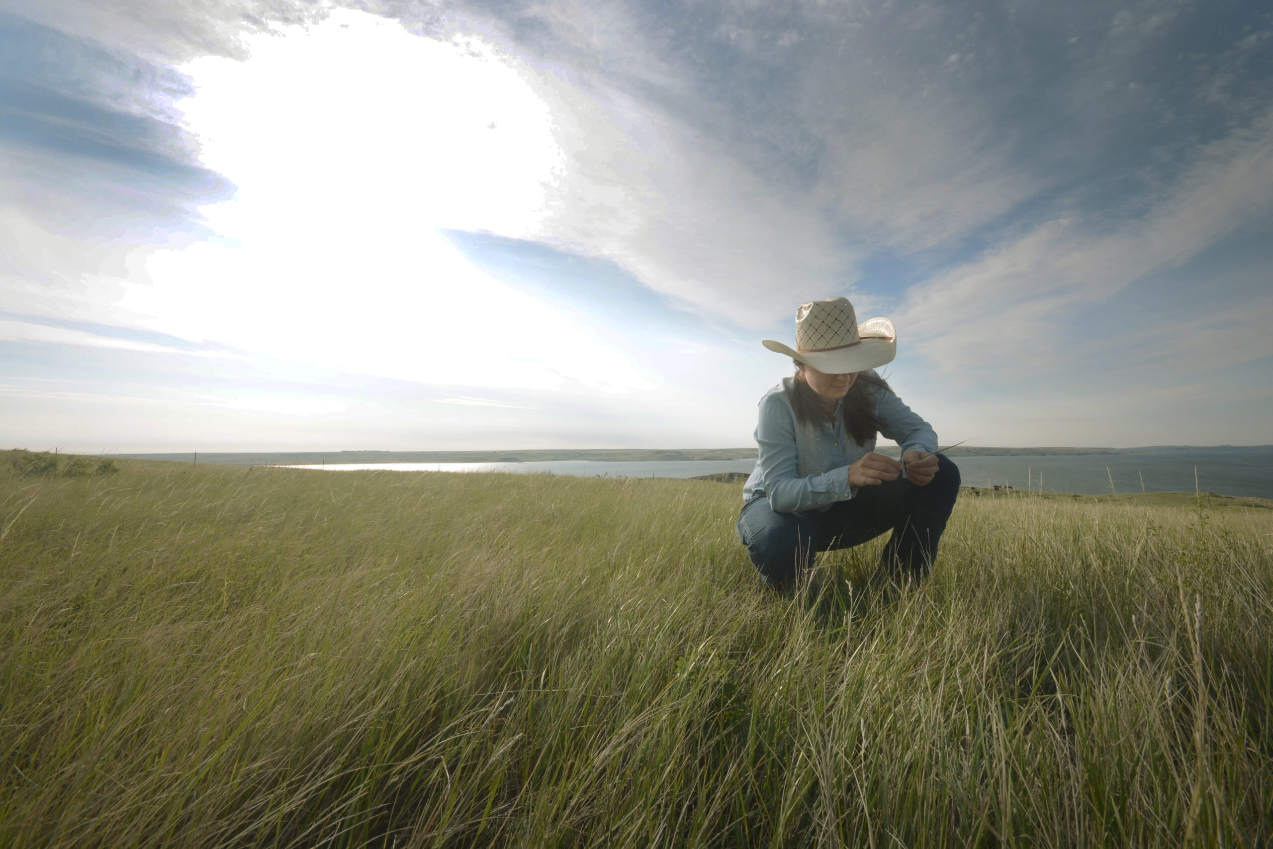 Soil Health Conference